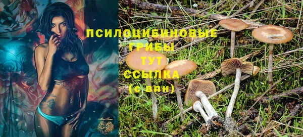 соль ск Богородицк