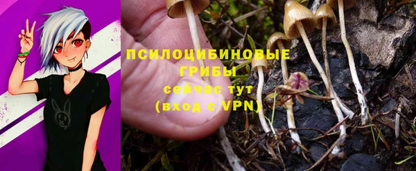 гидропоника Богданович