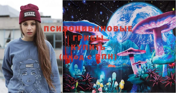 гидропоника Богданович