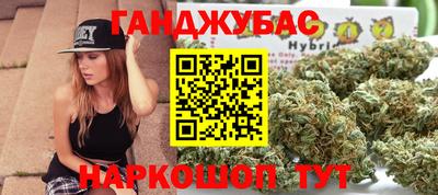 сатива Обь