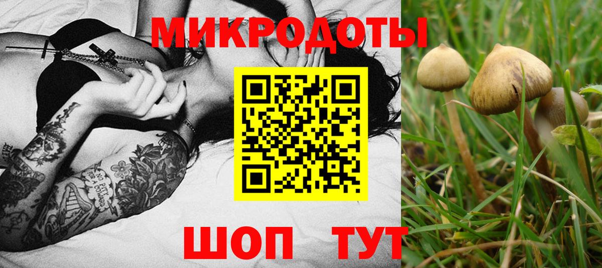 Галлюциногенные грибы Psilocybine cubensis  Вход с VPN  Северск 